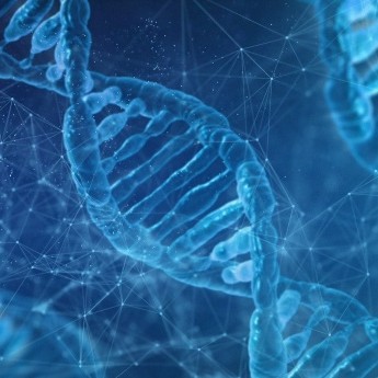 Picture of DNA